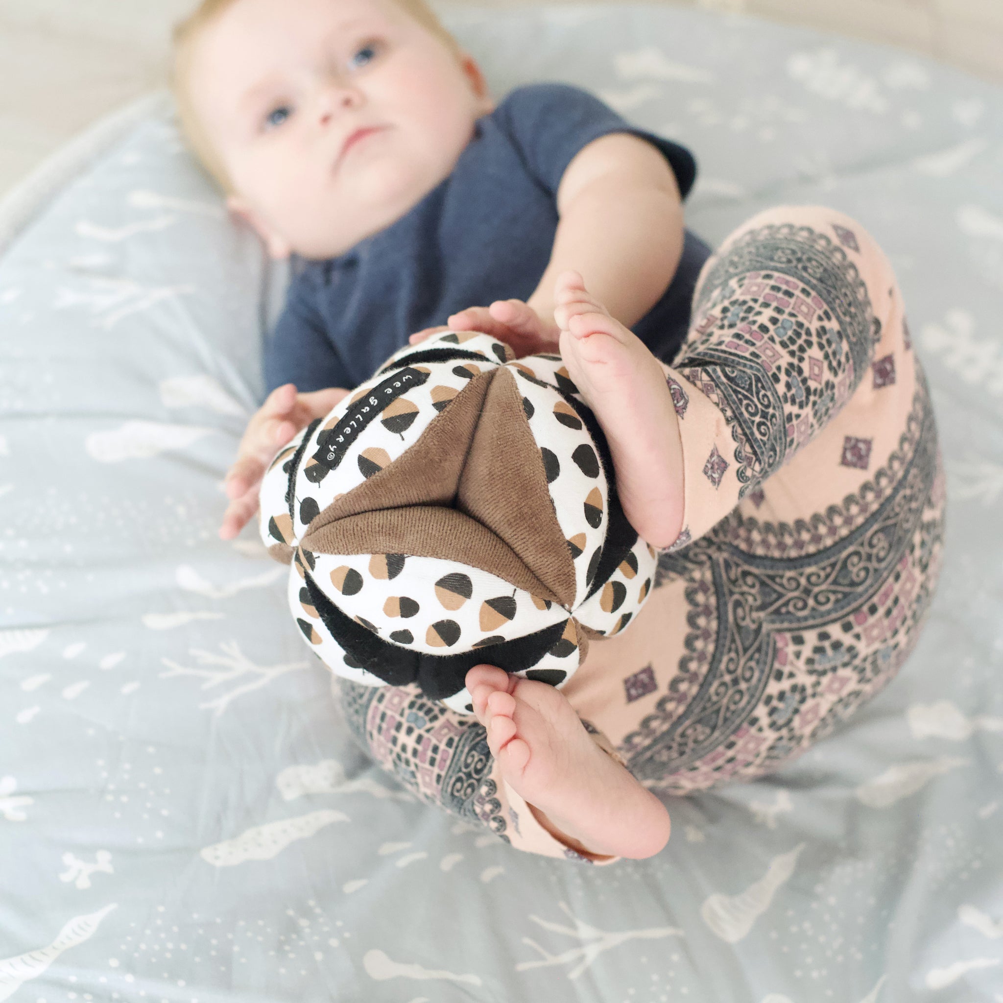Developmental Bundle for Baby - Acorn