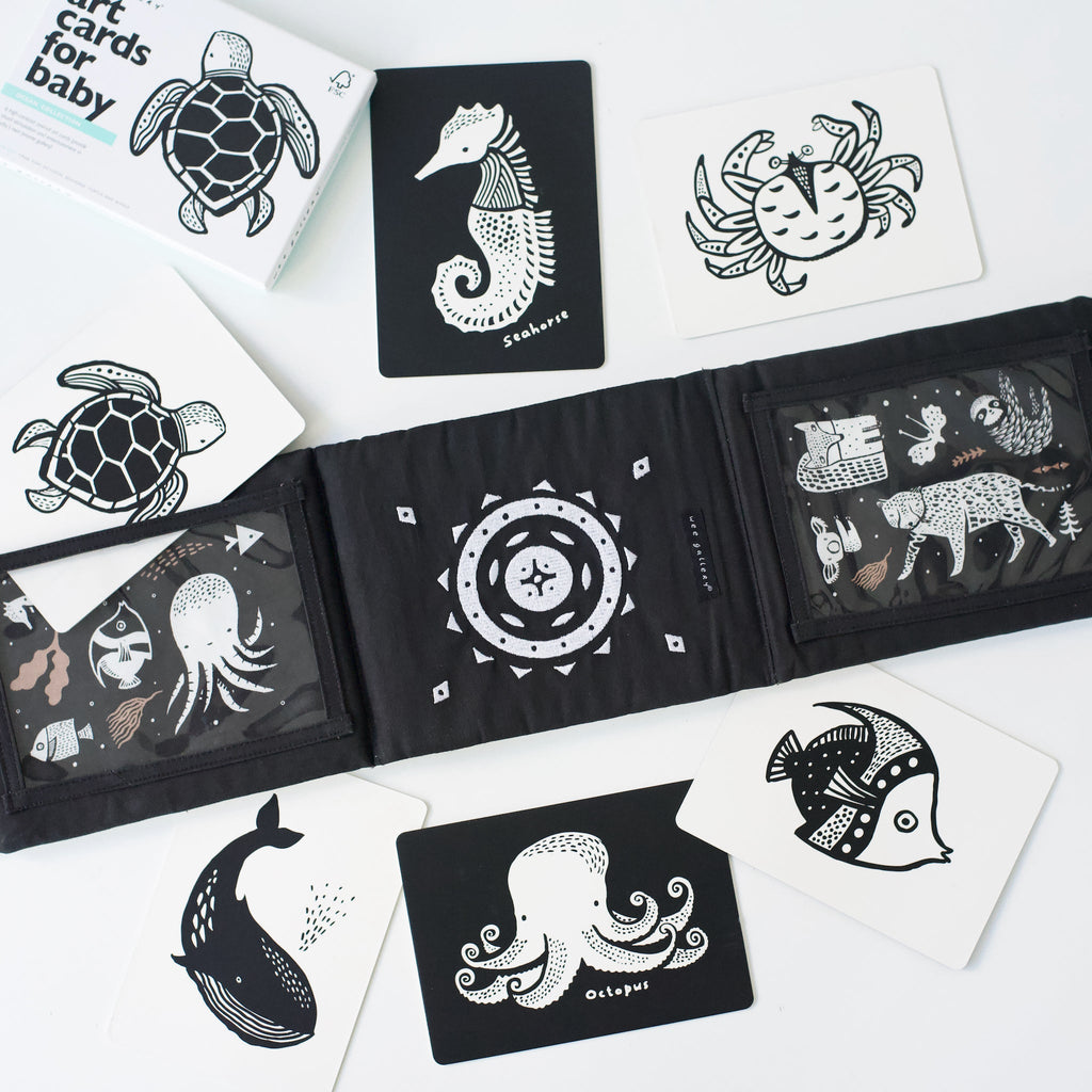 Developmental Bundle for Baby - Ocean