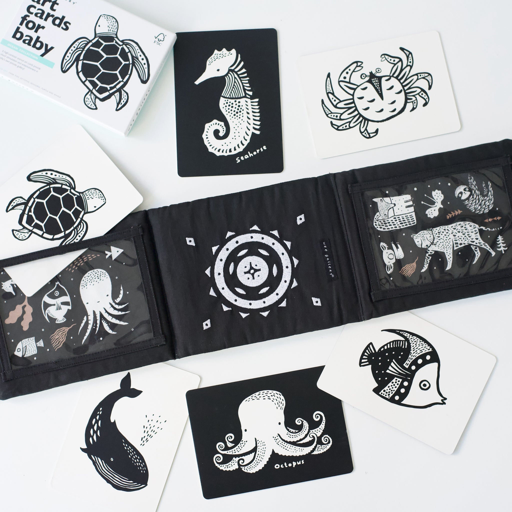 Developmental Bundle for Baby - Ocean