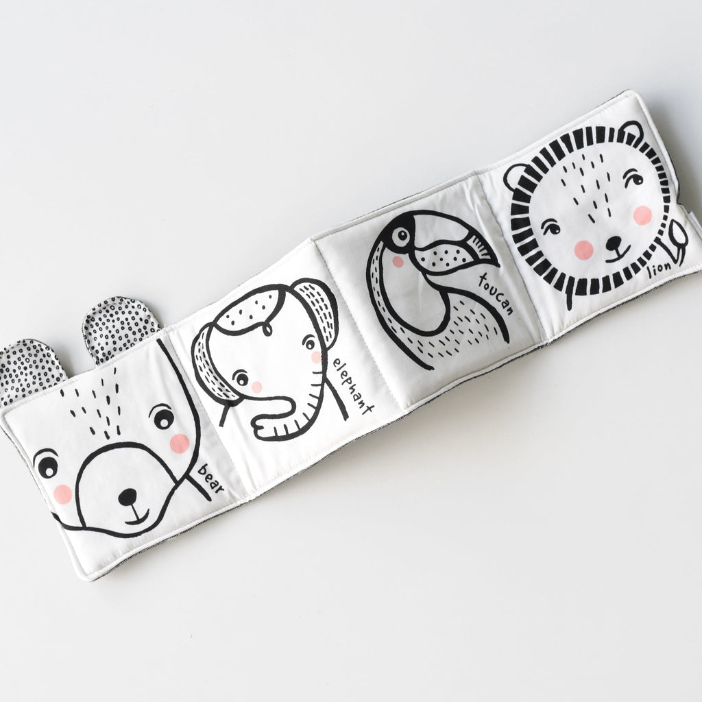 Friendly Faces in the Wild : Baby's First Soft Book