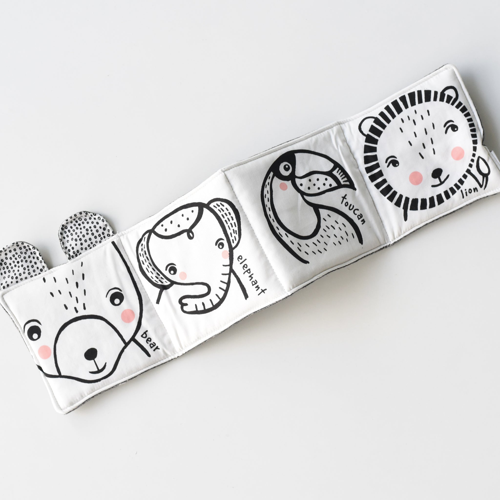 Friendly Faces in the Wild : Baby's First Soft Book