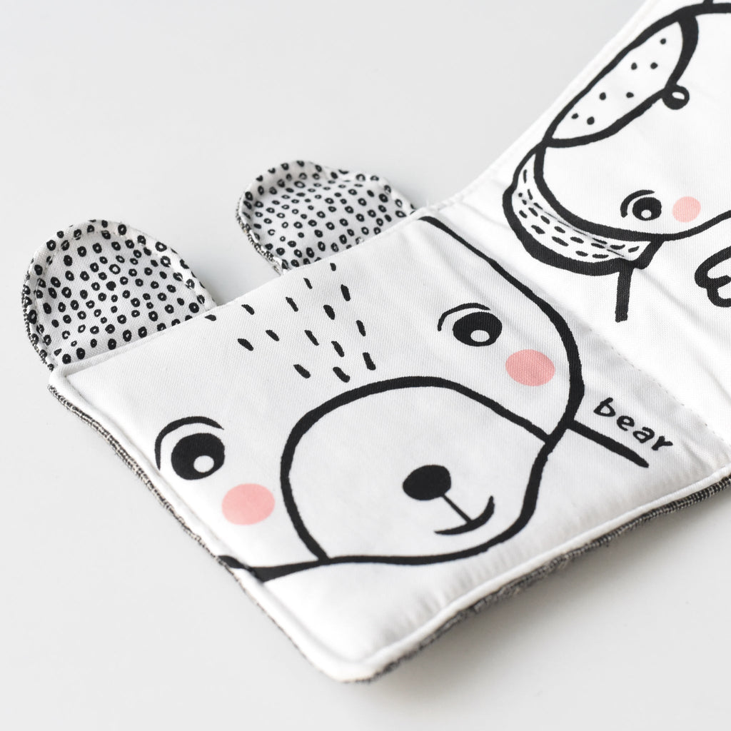 Friendly Faces in the Wild : Baby's First Soft Book