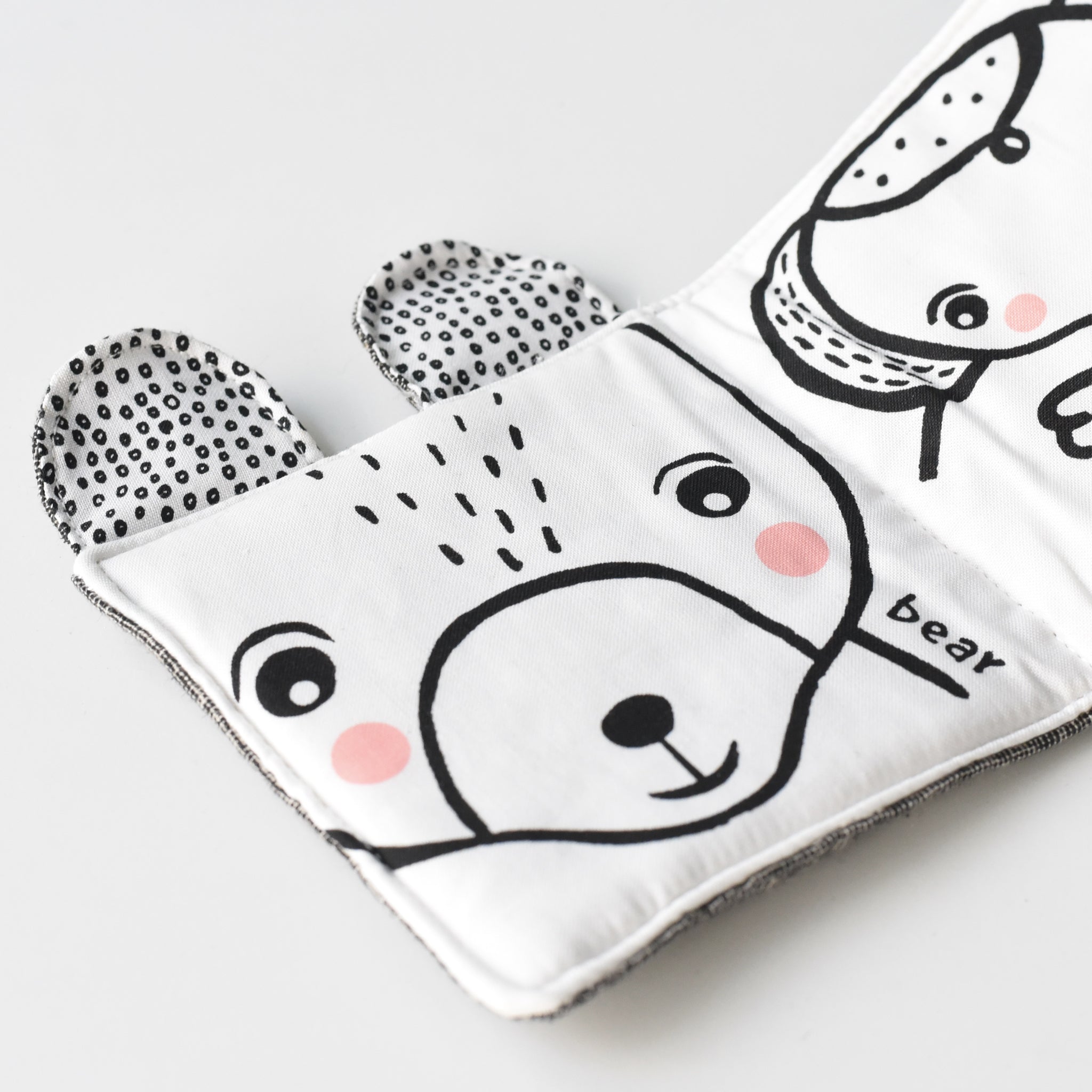 Friendly Faces in the Wild : Baby's First Soft Book