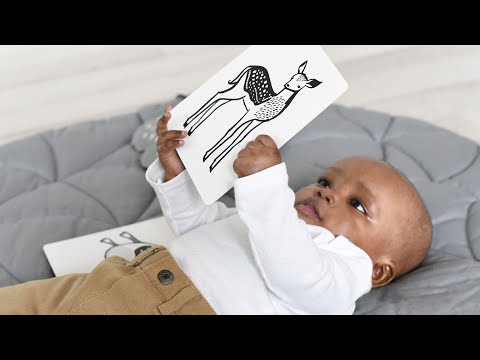 Art Cards for Baby - Safari Collection