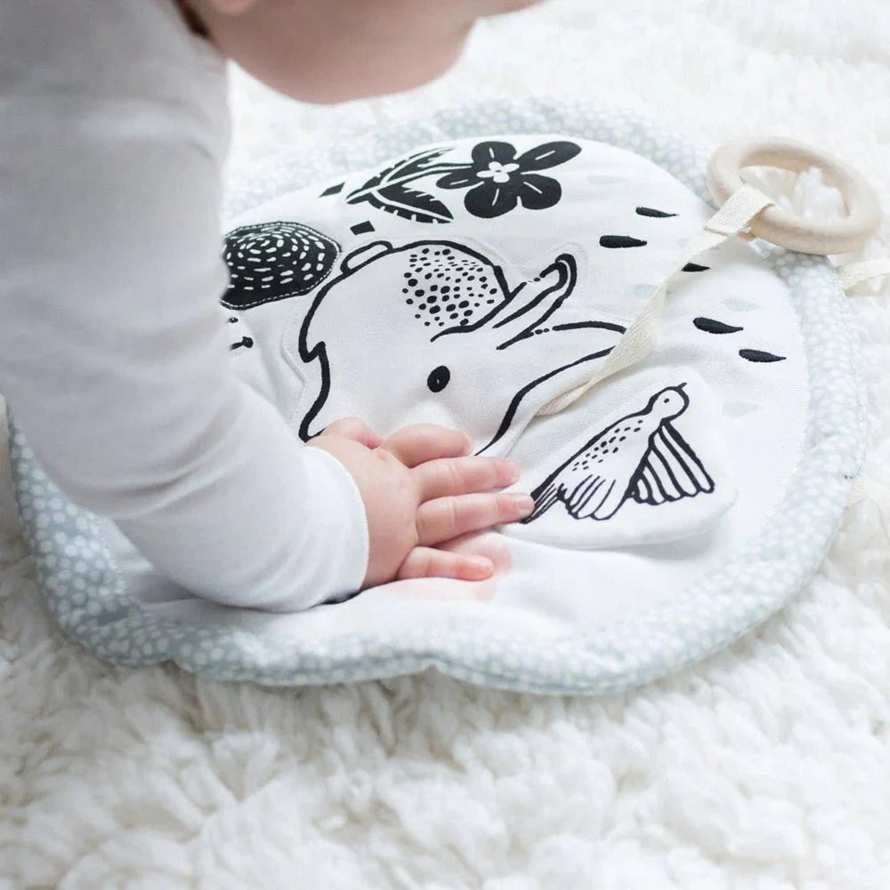 Sensory Bundle for Baby