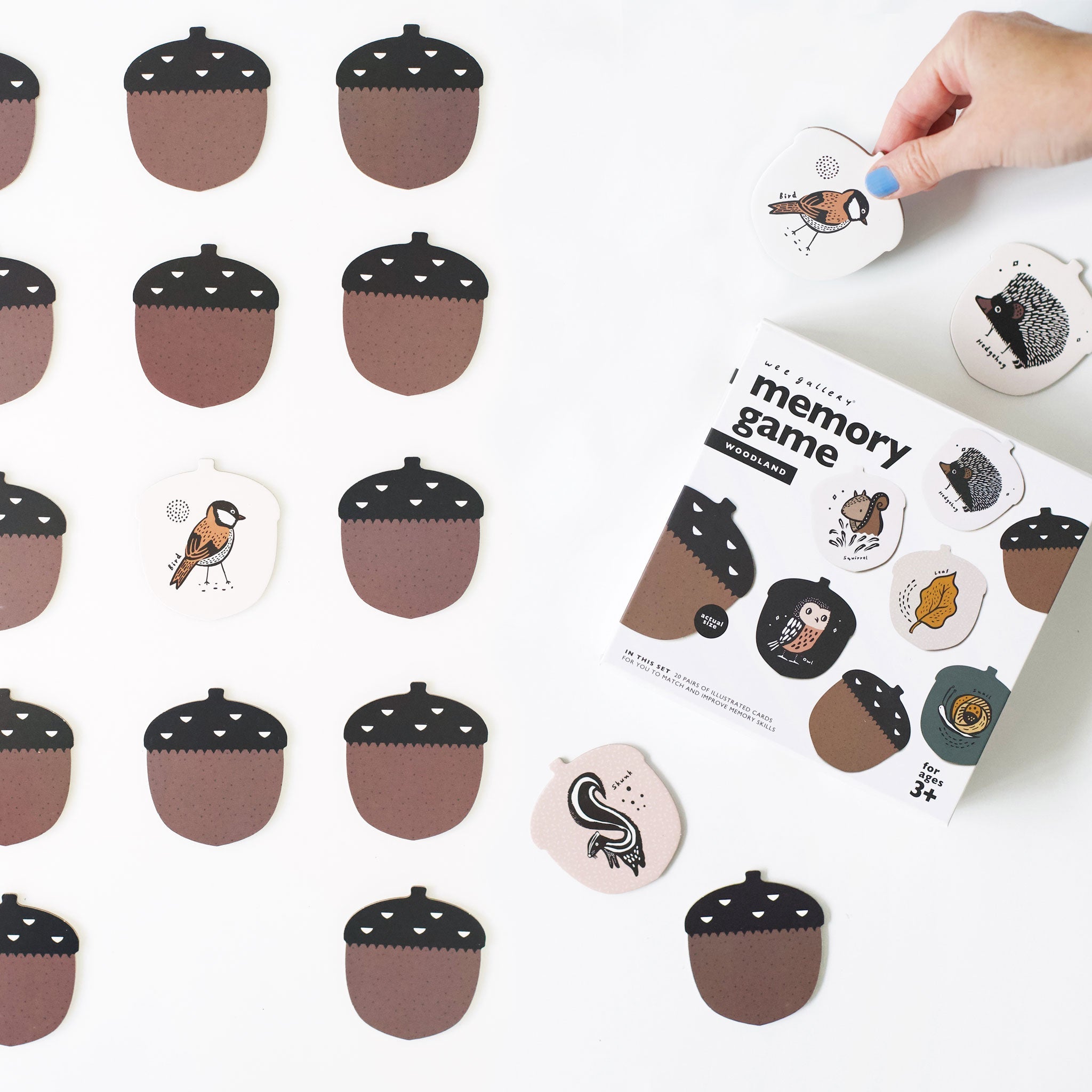 The Little Explorer Bundle