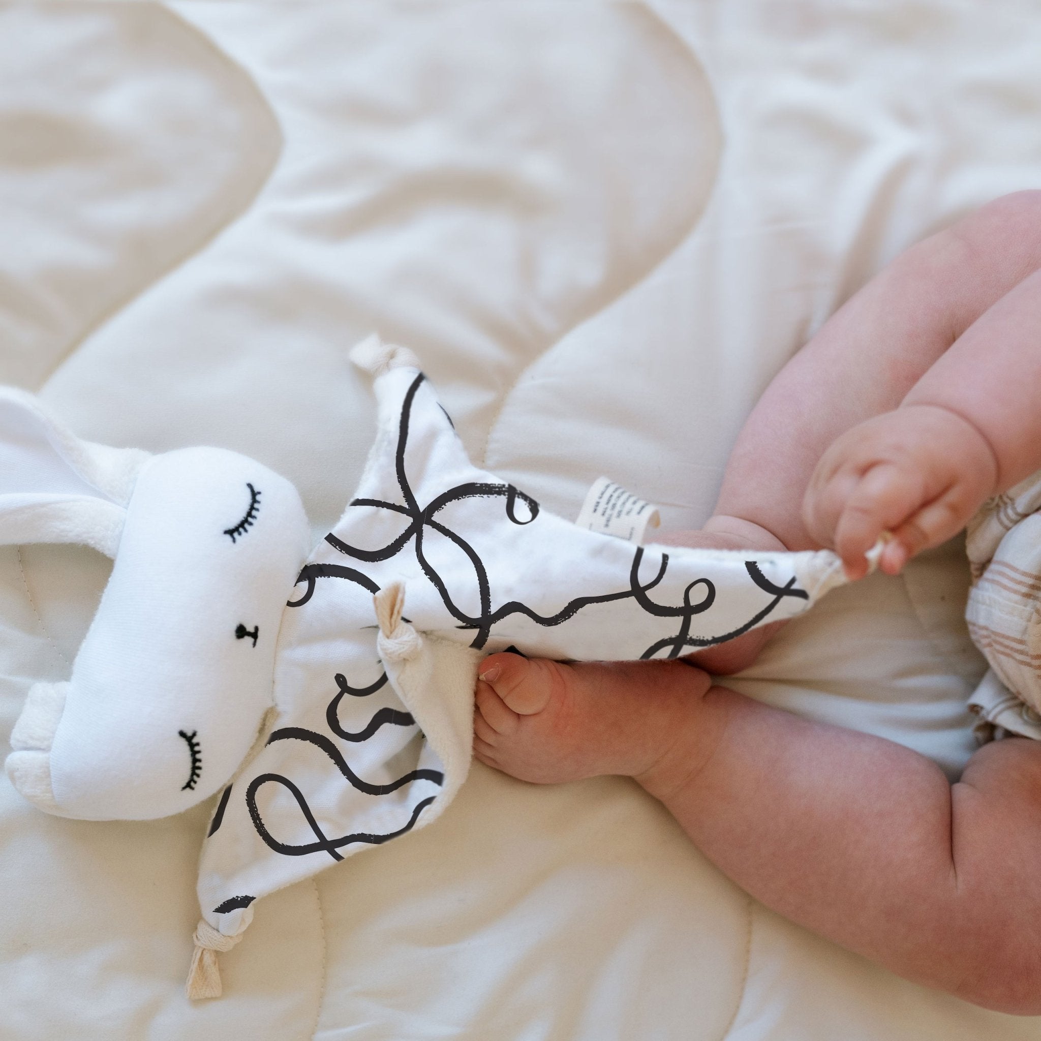 Sensory Bundle for Baby - Snuggles