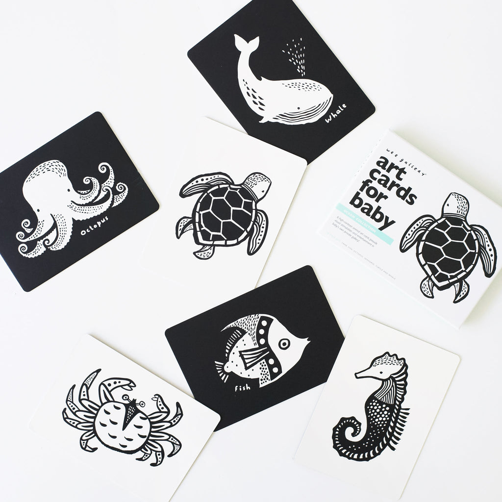 Developmental Bundle for Baby - Ocean