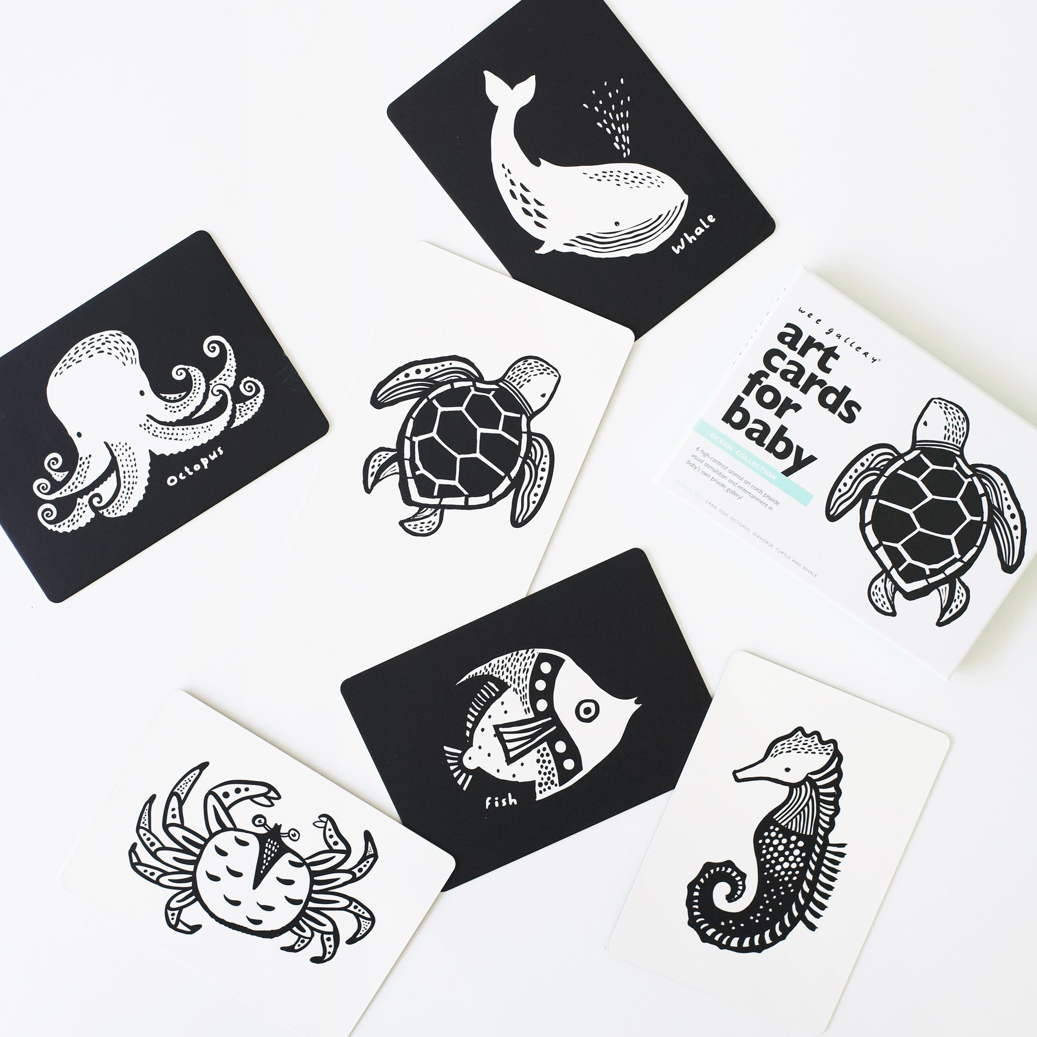 Developmental Bundle for Baby - Ocean