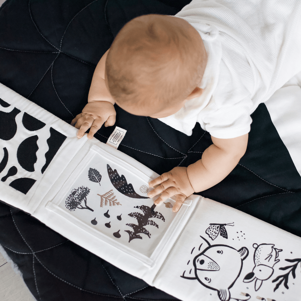 Developmental Bundle for Baby - Ocean