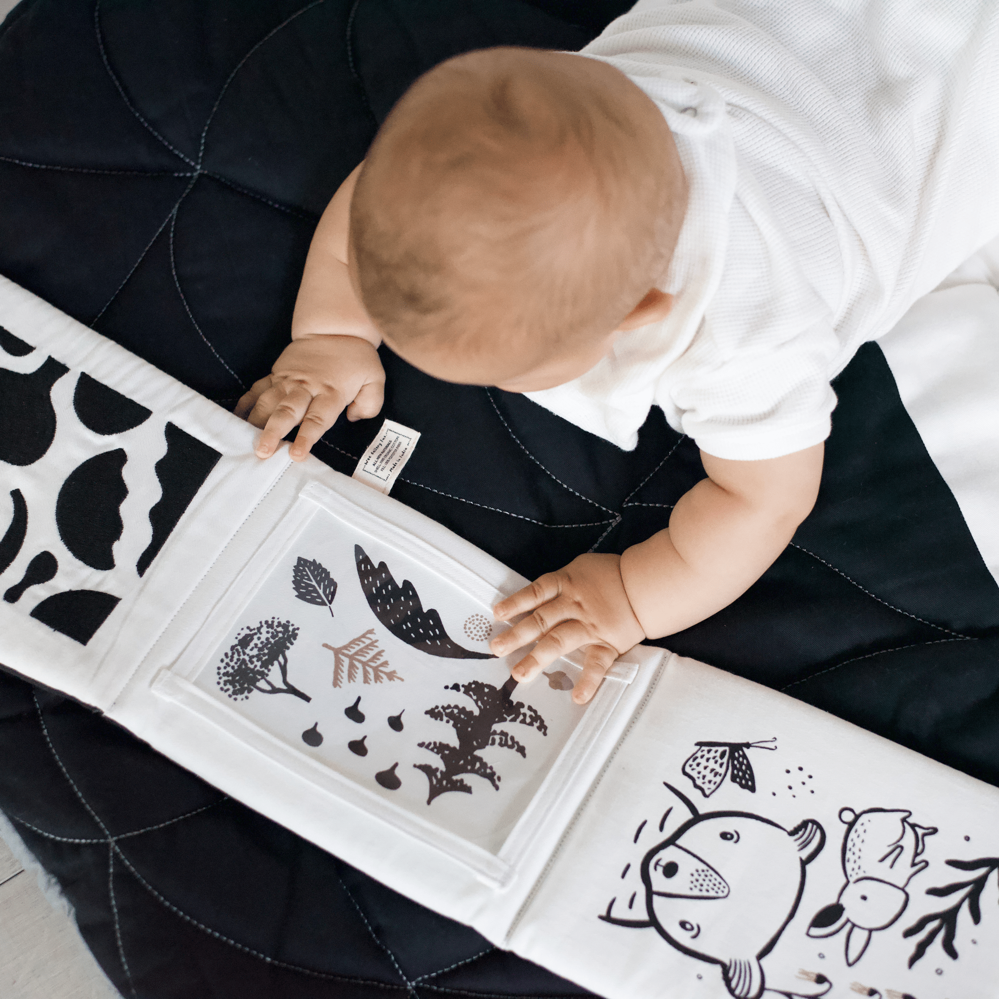 Developmental Bundle for Baby - Ocean