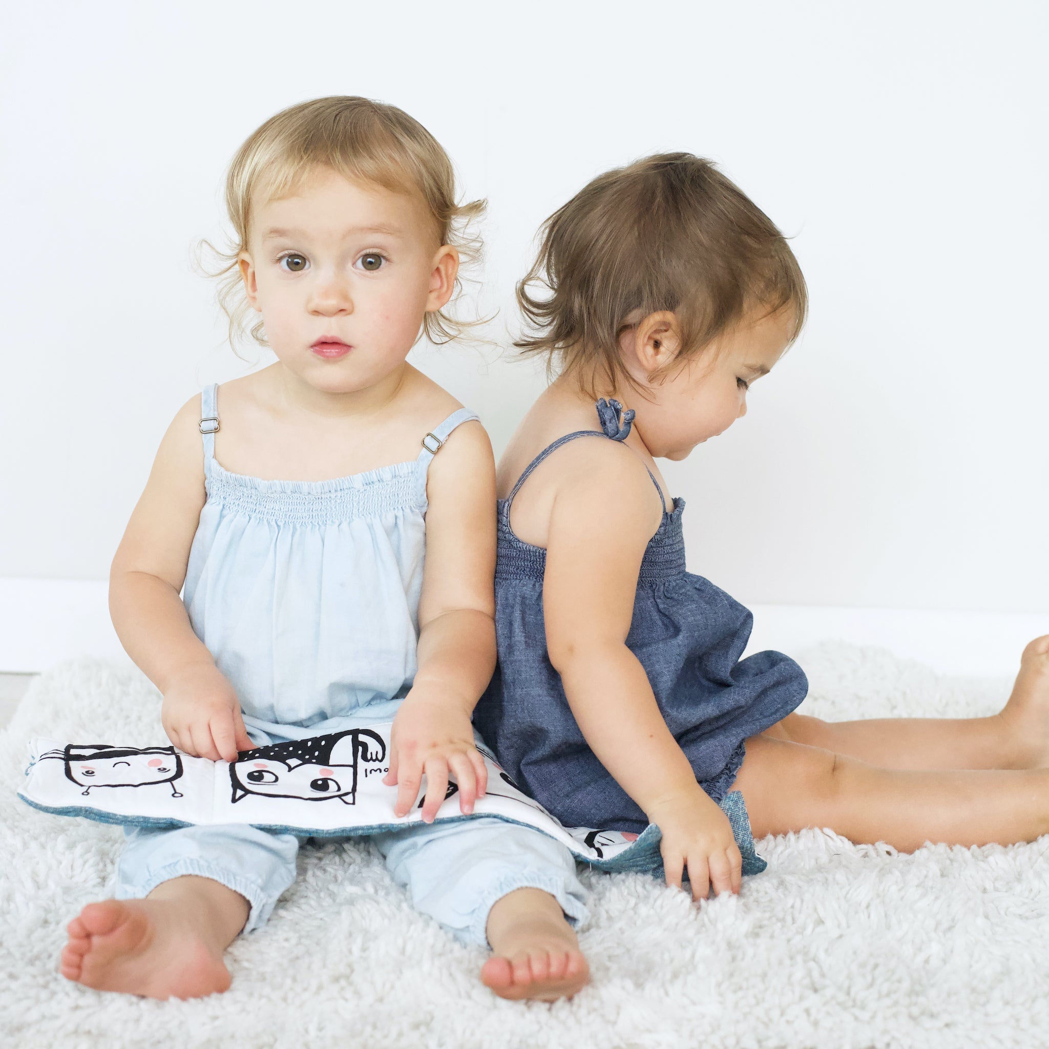 Friendly Faces in the Wild : Baby's First Soft Book